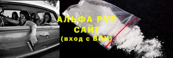 apvp Алзамай
