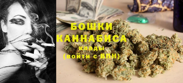 apvp Алзамай