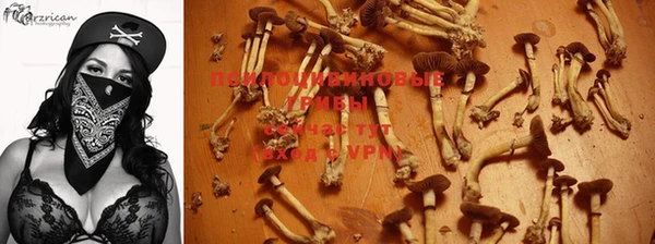 ПСИЛОЦИБИНОВЫЕ ГРИБЫ Алексеевка