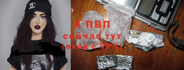 apvp Алзамай